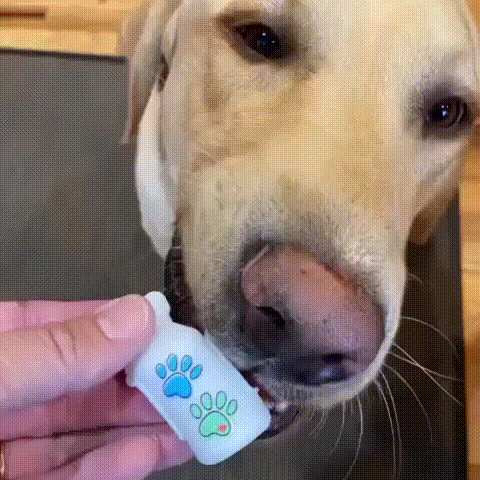 Paw Print 2-Pack Insulin Vial Protector Case (Fits Lantus, Apidra or Admelog)