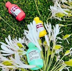 Vial Protector, Vial Safe, Diabetes Case, Vial Case, Bottle Protector, Diabetes Accessories, Diabetes Accessory, Insulin Pump, Bottle Sleeve, Insulin Case, Insulin Vial, Cat Insulin, Diabetes Cover, Diabetes Travel, Diabetic Supplies, Diabetes Supplies, Insulin Bottle Protector, Mojito Green, Yellow, Raspberry Sorbet, Humalog, NovoLog